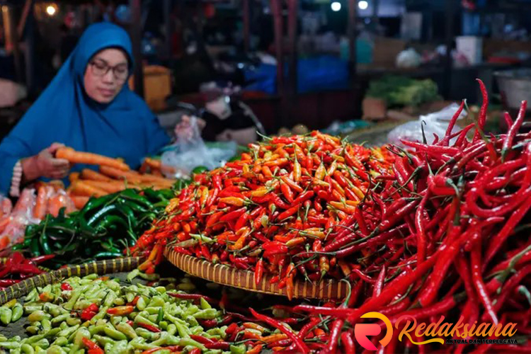 Harga Cabai di Lampung Selatan Naik: Penyebab dan Dampaknya