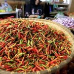 Jelang Ramadhan, Harga Cabai Rawit Rp 90.000/Kg di Madiun