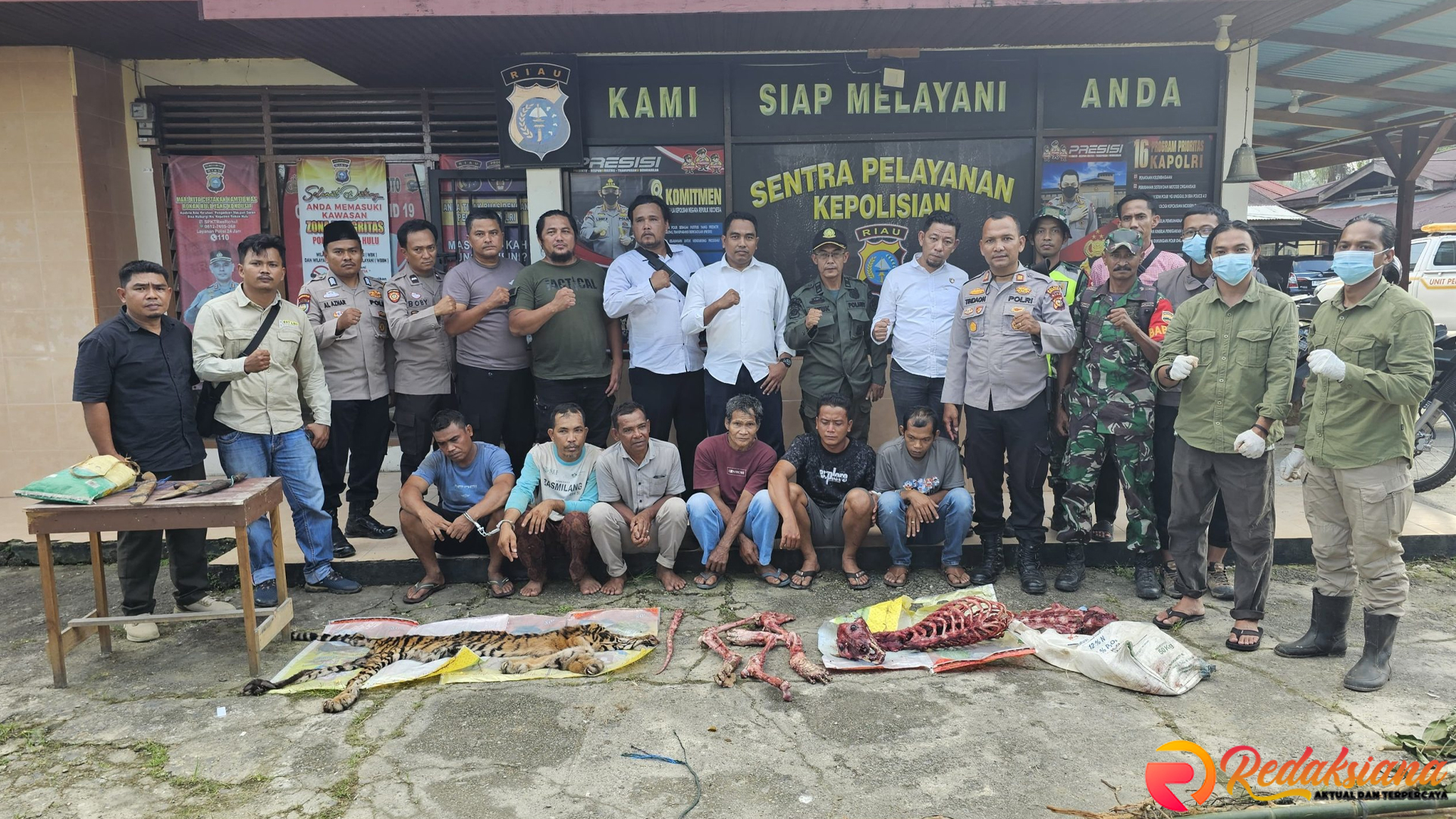 Polisi Rohul Ringkus 6 Pelaku Pembunuhan Harimau Sumatera